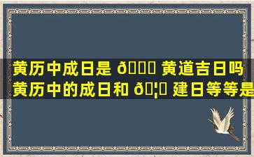 黄历中成日是 🐟 黄道吉日吗（黄历中的成日和 🦁 建日等等是什么意思）